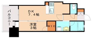 アクタス福岡県庁前グランネクストの物件間取画像